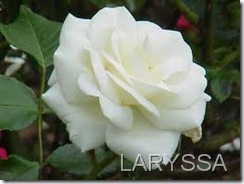 CAN9MU94CAMZ09MDCARY9VFICARTJSY9CA4606KICA3PH3T4CA785WMACA3G0R8TCAARZ1M0CAGROYHZCA9LUWZGCASXLM0ECAHGI2WNCAYKYYPDCATS0GA9CA2256VBCAQAZQ3NCAVEC2JU