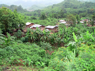 Varias chozas rurales, vistas desde lejos, en medio de un bosque tropical