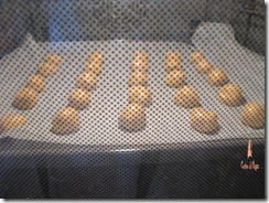 IMG_1409 IMG_1409