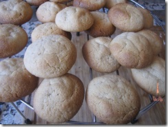 IMG_1410 IMG_1410