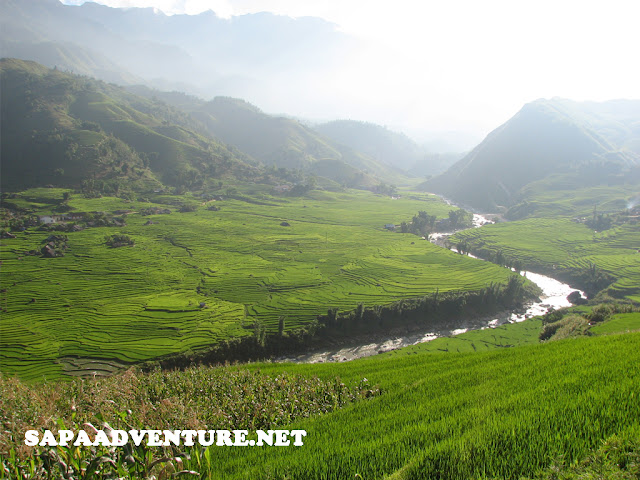 SAPA-RUONG1.jpg