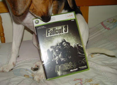 [RPG]等待10年的經典重回玩家懷抱：《異塵餘生3》遊戲心得分享！ - 阿祥的網路筆記本