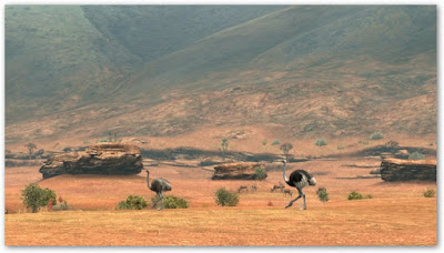 [PS3]無憂無慮的非洲生活：非洲（Hakuna Matata）遊戲心得！ - 阿祥的網路筆記本