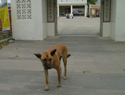 [Event]客家印象．08'巡迴展：竹北六家新瓦屋參觀心得！ - 阿祥的網路筆記本