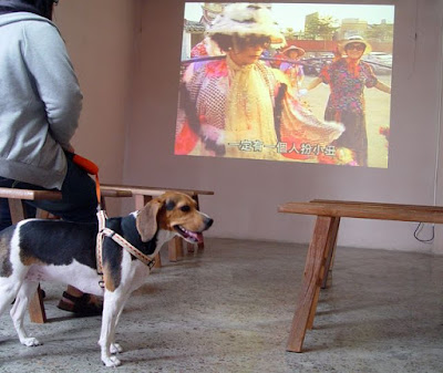 [Event]客家印象．08'巡迴展：竹北六家新瓦屋參觀心得！ - 阿祥的網路筆記本