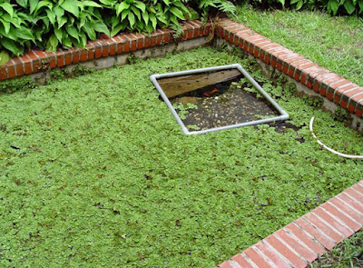 [Event]客家印象．08'巡迴展：竹北六家新瓦屋參觀心得！ - 阿祥的網路筆記本