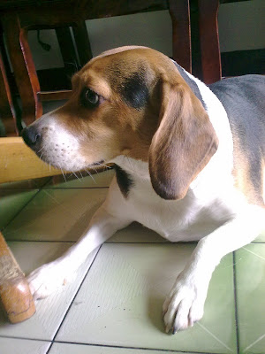 [Mobile]Nokia 5800 XpressMusic入手！不過不是我的… - 阿祥的網路筆記本