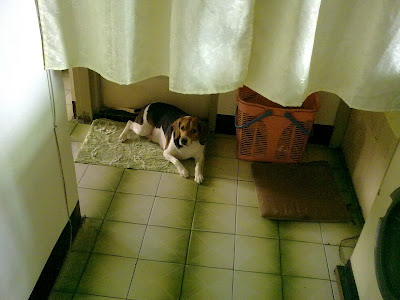 [Mobile]Nokia 5800 XpressMusic入手！不過不是我的… - 阿祥的網路筆記本