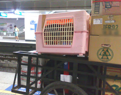 [Dog]讓台鐵幫你運送心愛的狗狗？Damn！No Way！ - 阿祥的網路筆記本