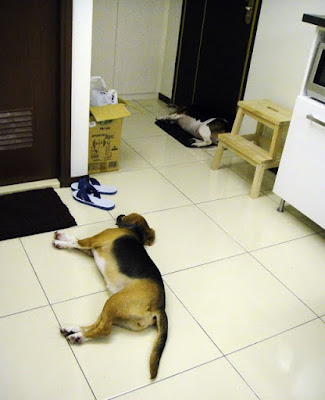 [Home] 新居入宅囉！第一天小記！ - 阿祥的網路筆記本