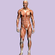 Human Physiology Study Guide icon