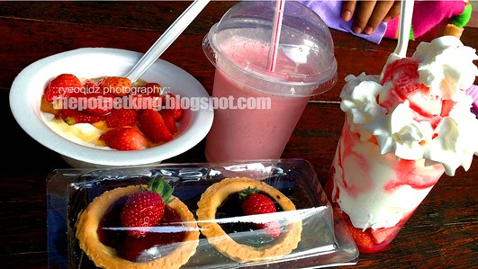 The potpet king: Jom membuncit di Cameron Highlands