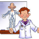 human_body_lymphatic_chart.jpg