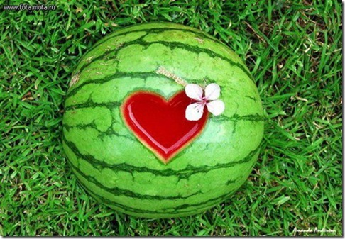 pica4u.ru_1226255170_watermelon_09