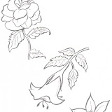 flores_2.jpg