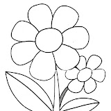 primavera-margarita.jpg