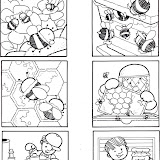 ciclo productivo de la miel