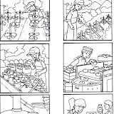 Ciclo productivo del tomate 04.jpg