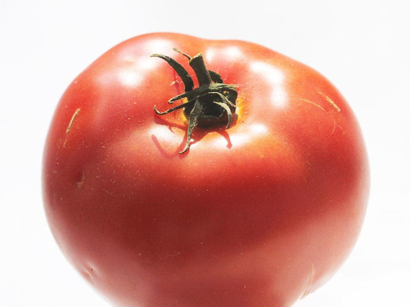[101008_big_tomato[3].jpg]