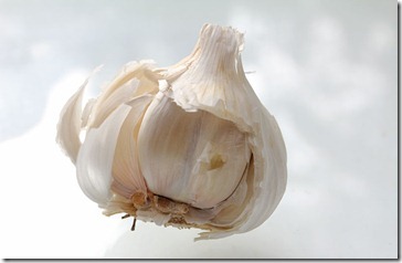101126_garlic