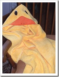 Duck Towel_2