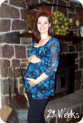 Pregnant_29 Weeks
