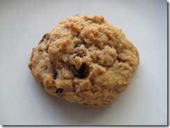 raisin cookie