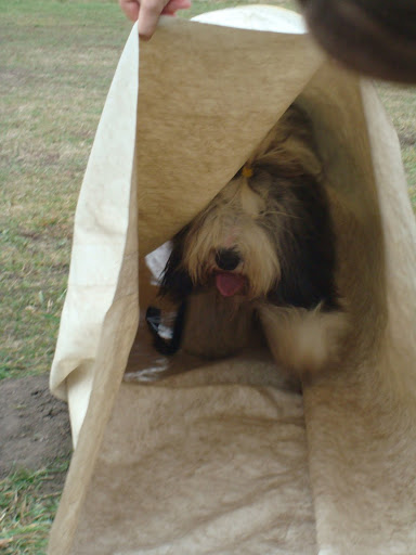 DSC08641.JPG