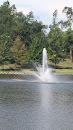January Wabash Memorial Lake  Fountain