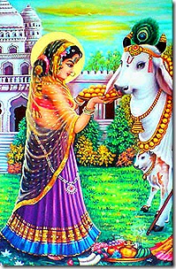 Radharani with cow