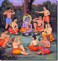 Krishna with His friends