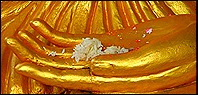 570349-Offerings-for-Buddha-1