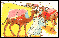 caravan camel