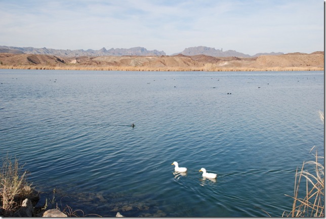 01-17-10 B Colorado River at Parker (4)