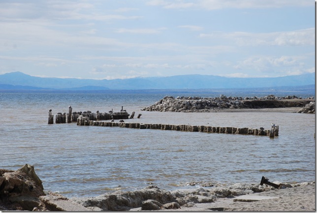 02-10-10 A Bombay Beach 009