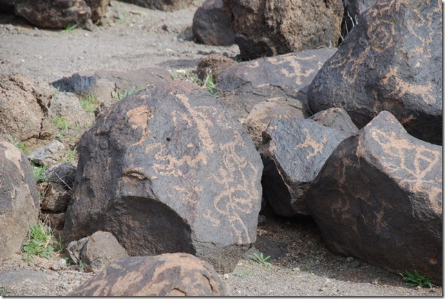 03-02-10 Painted Rock Petroglyph Park (37)