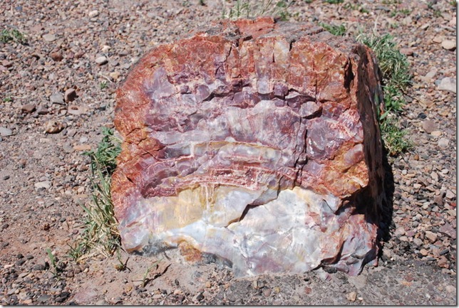 04-14-10 Painted Desert - Petrified Forest 197