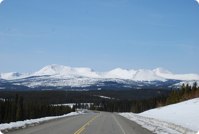 04-24-09 Alaskan Highway - Yukon 021