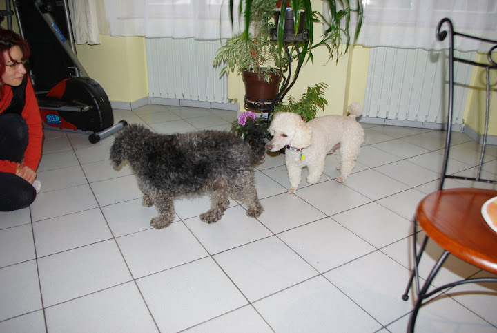 IMGP3324.JPG