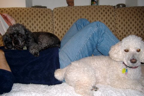 Matyi%20%C3%A9s%20B%C3%A9bi%20wellness%20016.JPG