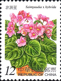 flower china 2b