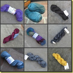 sock club yarn
