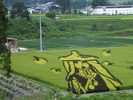 The Amazing Rice Paddy Art of Japan | Amusing Planet