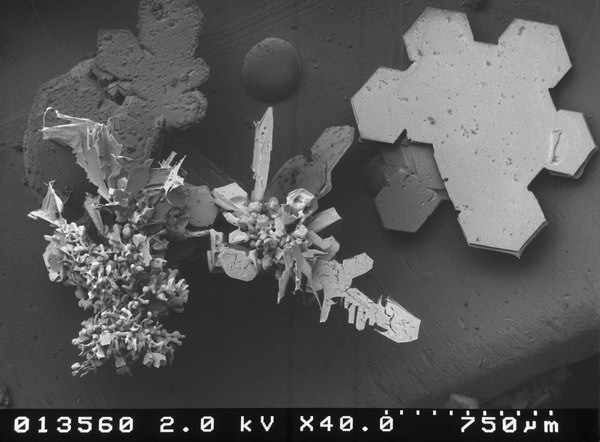 [snow-microscope (6)[2].jpg]