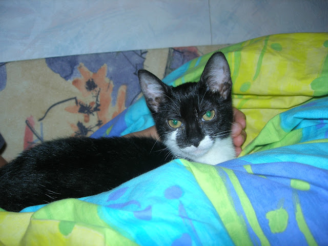 DSCN1479.JPG