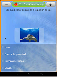 zGuía examen primaria; 5º Bim3 poster 7