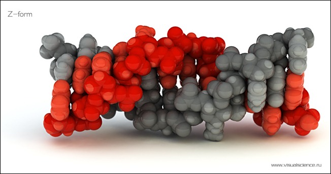 DNA-Z-form-image