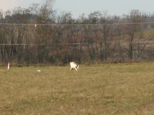 IMG_7125.JPG