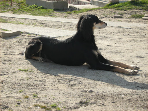 IMG_7430.JPG