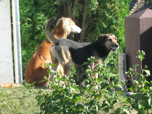 IMG_0027.JPG